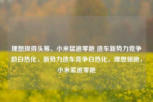 理想拔得头筹、小米猛追零跑 造车新势力竞争趋白热化，新势力造车竞争白热化，理想领跑，小米紧追零跑-第1张图片-体育新闻