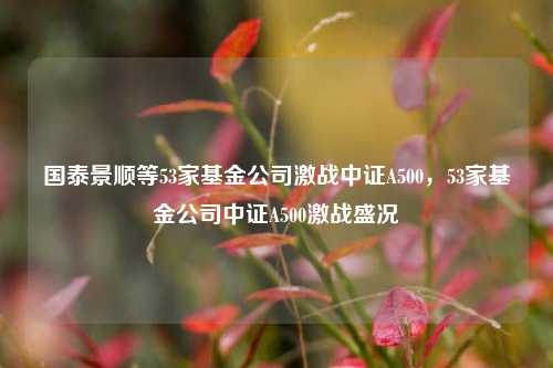 国泰景顺等53家基金公司激战中证A500，53家基金公司中证A500激战盛况-第1张图片-体育新闻