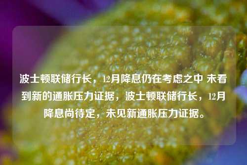 波士顿联储行长，12月降息仍在考虑之中 未看到新的通胀压力证据，波士顿联储行长，12月降息尚待定，未见新通胀压力证据。-第1张图片-体育新闻