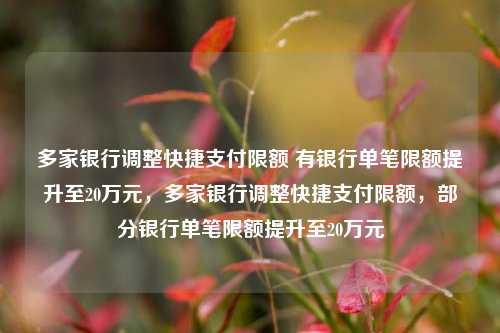 多家银行调整快捷支付限额 有银行单笔限额提升至20万元，多家银行调整快捷支付限额，部分银行单笔限额提升至20万元-第1张图片-体育新闻