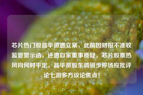 芯片热门股晶华微遭立案，此前因财报不准收监管警示函，还遭自家董事质疑，芯片股票热风向何时平定，晶华微股东调研步停场应批评论七游多方议论焦点！-第1张图片-体育新闻