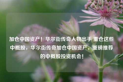 加仓中国资产！华尔街传奇人物出手 重仓这些中概股，华尔街传奇加仓中国资产，重磅推荐的中概股投资机会！-第1张图片-体育新闻