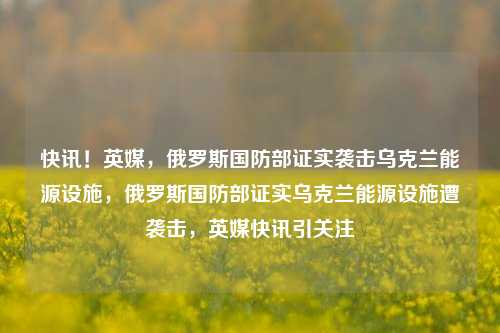 快讯！英媒，俄罗斯国防部证实袭击乌克兰能源设施，俄罗斯国防部证实乌克兰能源设施遭袭击，英媒快讯引关注-第1张图片-体育新闻