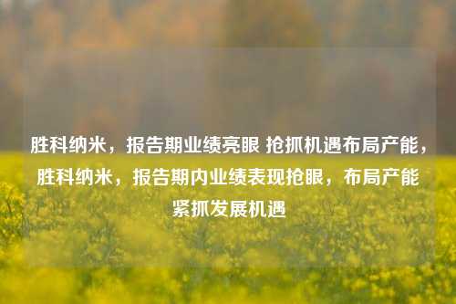 胜科纳米，报告期业绩亮眼 抢抓机遇布局产能，胜科纳米，报告期内业绩表现抢眼，布局产能紧抓发展机遇-第1张图片-体育新闻