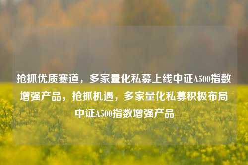 抢抓优质赛道，多家量化私募上线中证A500指数增强产品，抢抓机遇，多家量化私募积极布局中证A500指数增强产品-第1张图片-体育新闻