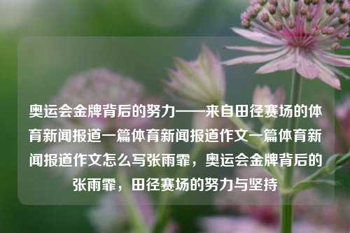 奥运会金牌背后的努力——来自田径赛场的体育新闻报道一篇体育新闻报道作文一篇体育新闻报道作文怎么写张雨霏，奥运会金牌背后的张雨霏，田径赛场的努力与坚持，奥运会金牌背后的努力——张雨霏的田径赛场之路-第1张图片-体育新闻