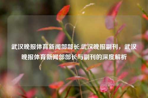 武汉晚报体育新闻部部长,武汉晚报副刊，武汉晚报体育新闻部部长与副刊的深度解析-第1张图片-体育新闻