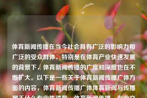 体育新闻传播在当今社会具有广泛的影响力和广泛的受众群体，特别是在体育产业快速发展的背景下，体育新闻传播的广度和深度也在不断扩大。以下是一些关于体育新闻传播广体方面的内容，体育新闻传播广体体育新闻与传播属于什么专业陈清晨，体育新闻传播，专业交叉下的广泛影响力与受众群体，体育新闻传播，专业交叉下的广泛影响力与受众群体-第1张图片-体育新闻