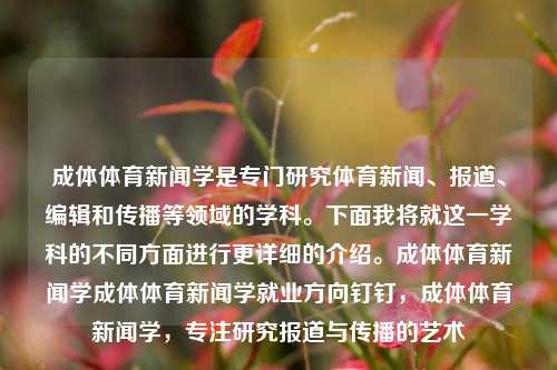 成体体育新闻学是专门研究体育新闻、报道、编辑和传播等领域的学科。下面我将就这一学科的不同方面进行更详细的介绍。成体体育新闻学成体体育新闻学就业方向钉钉，成体体育新闻学，专注研究报道与传播的艺术，成体体育新闻学，研究报道与传播的艺术的学科-第1张图片-体育新闻