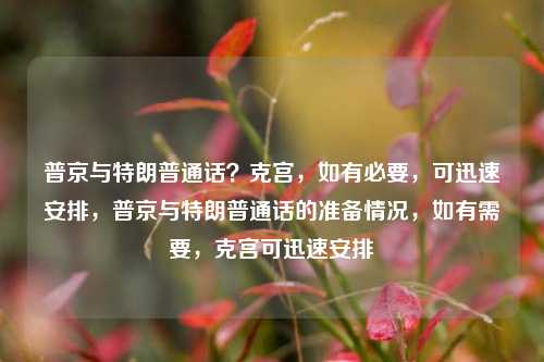 普京与特朗普通话？克宫，如有必要，可迅速安排，普京与特朗普通话的准备情况，如有需要，克宫可迅速安排-第1张图片-体育新闻