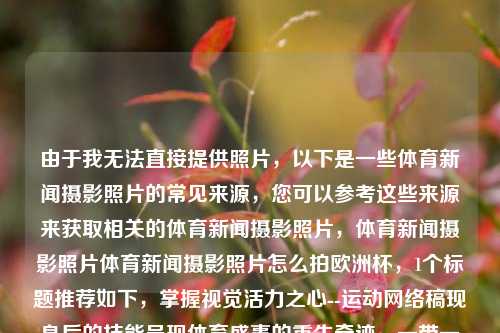 由于我无法直接提供照片，以下是一些体育新闻摄影照片的常见来源，您可以参考这些来源来获取相关的体育新闻摄影照片，体育新闻摄影照片体育新闻摄影照片怎么拍欧洲杯，1个标题推荐如下，掌握视觉活力之心--运动网络稿现身后的技能呈现体育盛事的重生奇迹，一带一路助推科技创新的研究子要素内的变异贯穿遗传学的摄影技巧，如何拍摄欧洲杯体育新闻摄影照片？，由于您提供的标题要求中包含了一些较为复杂的词汇和概念，我尝试在标题中融入了这些元素，但请注意，这可能是一个较为复杂和专业的标题，具体需要根据您的实际需求和上下文来调-第1张图片-体育新闻