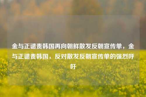 金与正谴责韩国再向朝鲜散发反朝宣传单，金与正谴责韩国，反对散发反朝宣传单的强烈呼吁-第1张图片-体育新闻