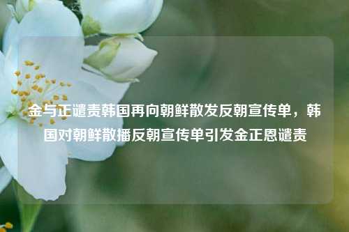 金与正谴责韩国再向朝鲜散发反朝宣传单，韩国对朝鲜散播反朝宣传单引发金正恩谴责-第1张图片-体育新闻