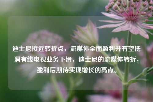 迪士尼接近转折点，流媒体全面盈利并有望抵消有线电视业务下滑，迪士尼的流媒体转折，盈利后期待实现增长的高点。-第1张图片-体育新闻