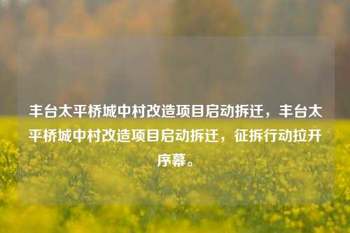 丰台太平桥城中村改造项目启动拆迁，丰台太平桥城中村改造项目启动拆迁，征拆行动拉开序幕。-第1张图片-体育新闻