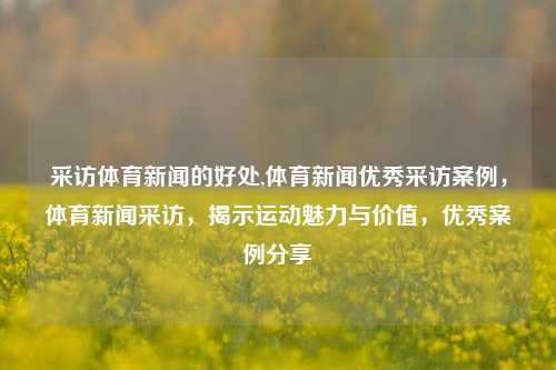 采访体育新闻的好处,体育新闻优秀采访案例，体育新闻采访，揭示运动魅力与价值，优秀案例分享-第1张图片-体育新闻