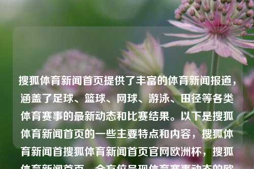 搜狐体育新闻首页提供了丰富的体育新闻报道，涵盖了足球、篮球、网球、游泳、田径等各类体育赛事的最新动态和比赛结果。以下是搜狐体育新闻首页的一些主要特点和内容，搜狐体育新闻首搜狐体育新闻首页官网欧洲杯，搜狐体育新闻首页，全方位呈现体育赛事动态的欧洲杯集结地，搜狐体育新闻首页，全方位欧洲杯体育新闻集结地-第1张图片-体育新闻