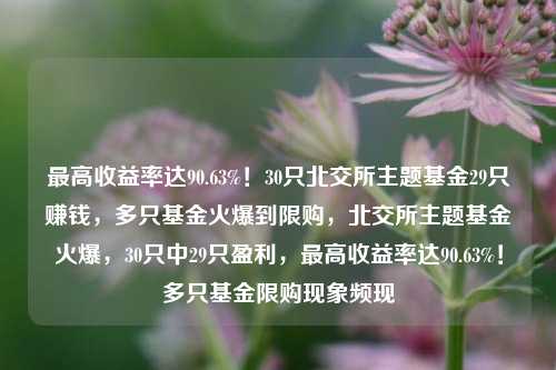 最高收益率达90.63%！30只北交所主题基金29只赚钱，多只基金火爆到限购，北交所主题基金火爆，30只中29只盈利，最高收益率达90.63%！多只基金限购现象频现-第1张图片-体育新闻