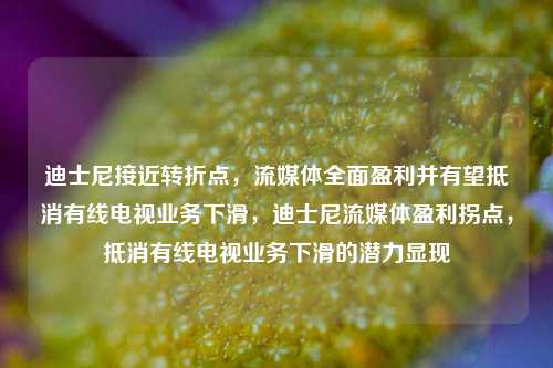 迪士尼接近转折点，流媒体全面盈利并有望抵消有线电视业务下滑，迪士尼流媒体盈利拐点，抵消有线电视业务下滑的潜力显现-第1张图片-体育新闻