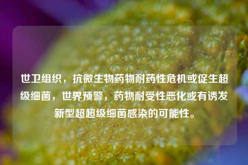 世卫组织，抗微生物药物耐药性危机或促生超级细菌，世界预警，药物耐受性恶化或有诱发新型超超级细菌感染的可能性。-第1张图片-体育新闻