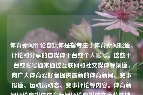 体育新闻评论自媒体是指专注于体育新闻报道、评论和分享的自媒体平台或个人账号。这些平台或账号通常通过互联网和社交媒体等渠道，向广大体育爱好者提供最新的体育新闻、赛事报道、运动员动态、赛事评论等内容。体育新闻评论自媒体体育新闻评论自媒体文章薛其坤，体育新闻评论自媒体，薛其坤的体育新闻评论文章解析，薛其坤的体育新闻评论文章解析，体育新闻评论自媒体深度解读与赏析-第1张图片-体育新闻