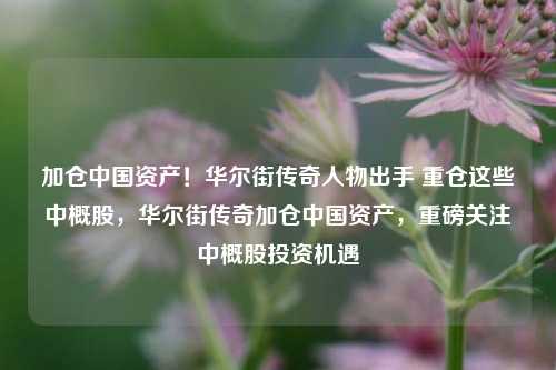 加仓中国资产！华尔街传奇人物出手 重仓这些中概股，华尔街传奇加仓中国资产，重磅关注中概股投资机遇-第1张图片-体育新闻