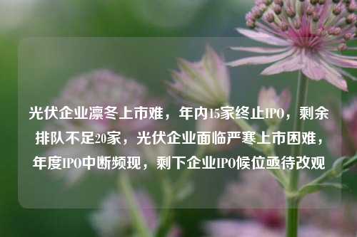 光伏企业凛冬上市难，年内15家终止IPO，剩余排队不足20家，光伏企业面临严寒上市困难，年度IPO中断频现，剩下企业IPO候位亟待改观-第1张图片-体育新闻