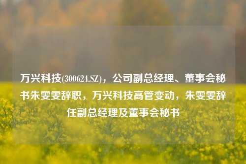 万兴科技(300624.SZ)，公司副总经理、董事会秘书朱雯雯辞职，万兴科技高管变动，朱雯雯辞任副总经理及董事会秘书-第1张图片-体育新闻