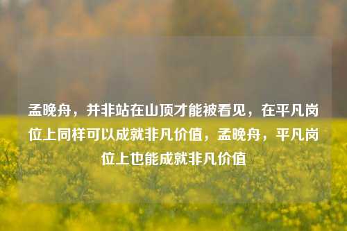 孟晚舟，并非站在山顶才能被看见，在平凡岗位上同样可以成就非凡价值，孟晚舟，平凡岗位上也能成就非凡价值-第1张图片-体育新闻