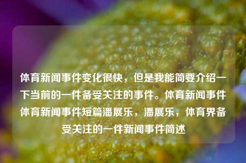 体育新闻事件变化很快，但是我能简要介绍一下当前的一件备受关注的事件。体育新闻事件体育新闻事件短篇潘展乐，潘展乐，体育界备受关注的一件新闻事件简述，潘展乐，体育界备受关注的新闻事件简述-第1张图片-体育新闻