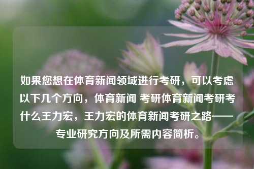 如果您想在体育新闻领域进行考研，可以考虑以下几个方向，体育新闻 考研体育新闻考研考什么王力宏，王力宏的体育新闻考研之路——专业研究方向及所需内容简析。，王力宏的体育新闻考研，方向指南及必学要点概览-第1张图片-体育新闻