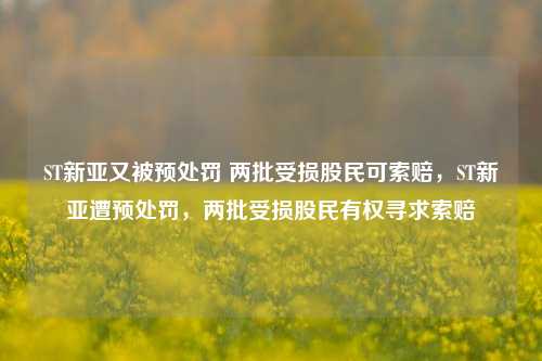 ST新亚又被预处罚 两批受损股民可索赔，ST新亚遭预处罚，两批受损股民有权寻求索赔-第1张图片-体育新闻