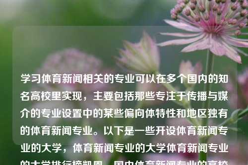 学习体育新闻相关的专业可以在多个国内的知名高校里实现，主要包括那些专注于传播与媒介的专业设置中的某些偏向体特性和地区独有的体育新闻专业。以下是一些开设体育新闻专业的大学，体育新闻专业的大学体育新闻专业的大学排行榜凯恩，国内体育新闻专业的高校选择及排行榜指南，国内体育新闻专业高校选择及排行榜指南-第1张图片-体育新闻