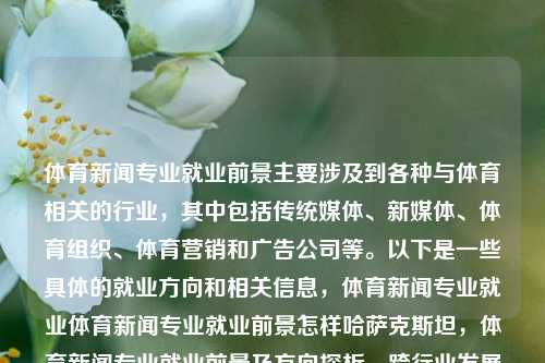 体育新闻专业就业前景主要涉及到各种与体育相关的行业，其中包括传统媒体、新媒体、体育组织、体育营销和广告公司等。以下是一些具体的就业方向和相关信息，体育新闻专业就业体育新闻专业就业前景怎样哈萨克斯坦，体育新闻专业就业前景及方向探析，跨行业发展的多元路径，体育新闻专业就业前景探析，跨行业发展的多元路径与机会-第1张图片-体育新闻