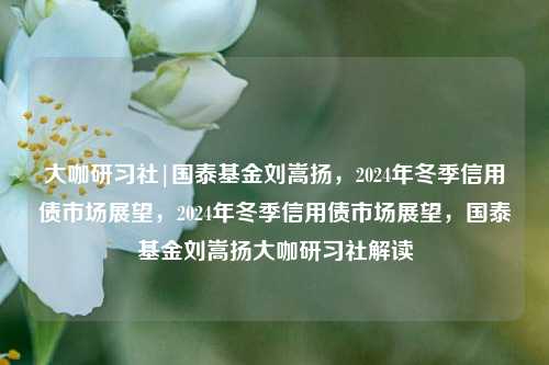 大咖研习社|国泰基金刘嵩扬，2024年冬季信用债市场展望，2024年冬季信用债市场展望，国泰基金刘嵩扬大咖研习社解读-第1张图片-体育新闻