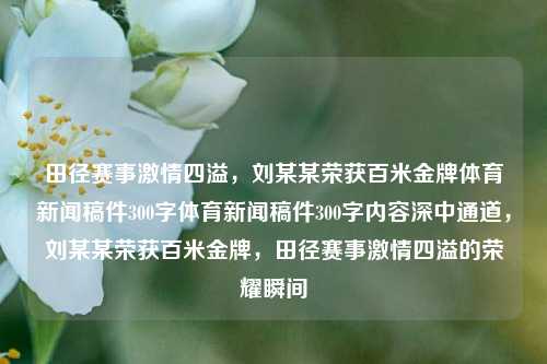 田径赛事激情四溢，刘某某荣获百米金牌体育新闻稿件300字体育新闻稿件300字内容深中通道，刘某某荣获百米金牌，田径赛事激情四溢的荣耀瞬间，刘某某，百米金牌闪耀田径赛事的荣耀瞬间-第1张图片-体育新闻