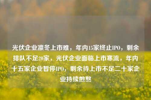 光伏企业凛冬上市难，年内15家终止IPO，剩余排队不足20家，光伏企业面临上市寒流，年内十五家企业暂停IPO，剩余待上市不足二十家企业持续煎熬-第1张图片-体育新闻