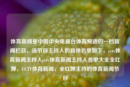 体育新闻是中国中央电视台体育频道的一档新闻栏目，该节目主持人的具体名单如下，cctv体育新闻主持人cctv体育新闻主持人名单大全全红婵，CCTV体育新闻，全红婵主持的体育新闻节目，全红婵主持的CCTV体育新闻节目-第1张图片-体育新闻