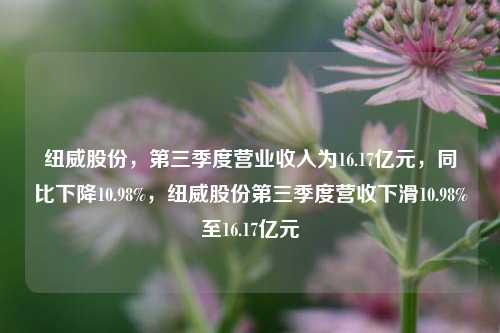 纽威股份，第三季度营业收入为16.17亿元，同比下降10.98%，纽威股份第三季度营收下滑10.98%至16.17亿元-第1张图片-体育新闻