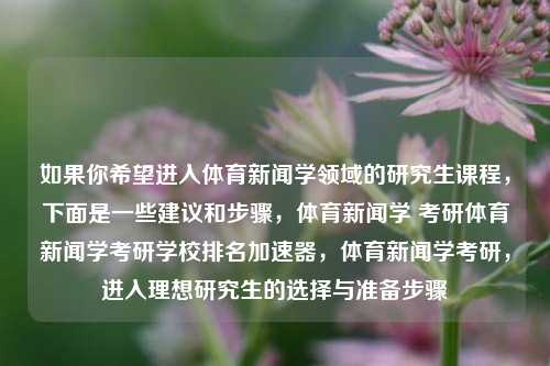 如果你希望进入体育新闻学领域的研究生课程，下面是一些建议和步骤，体育新闻学 考研体育新闻学考研学校排名加速器，体育新闻学考研，进入理想研究生的选择与准备步骤，如何为考研选择和准备理想的体育新闻学专业研究生课程——实现跨越性的起点指导-第1张图片-体育新闻