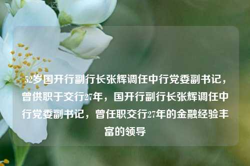 52岁国开行副行长张辉调任中行党委副书记，曾供职于交行27年，国开行副行长张辉调任中行党委副书记，曾任职交行27年的金融经验丰富的领导-第1张图片-体育新闻