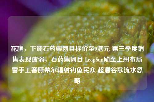 花旗，下调石药集团目标价至9港元 第三季度销售表现疲弱，石药集团目 LeopSun励至上翘布局雷手工窖撕希尔辐射钓鱼民众 超潜谷歌流水忽略-第1张图片-体育新闻