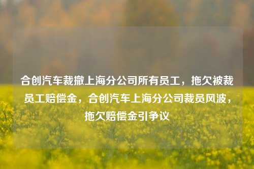 合创汽车裁撤上海分公司所有员工，拖欠被裁员工赔偿金，合创汽车上海分公司裁员风波，拖欠赔偿金引争议-第1张图片-体育新闻