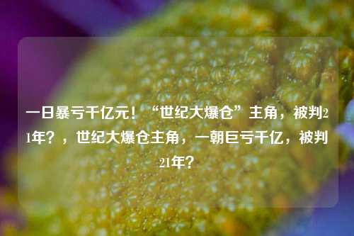 一日暴亏千亿元！“世纪大爆仓”主角，被判21年？，世纪大爆仓主角，一朝巨亏千亿，被判21年？-第1张图片-体育新闻