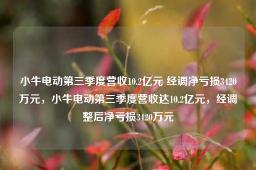 小牛电动第三季度营收10.2亿元 经调净亏损3420万元，小牛电动第三季度营收达10.2亿元，经调整后净亏损3420万元-第1张图片-体育新闻