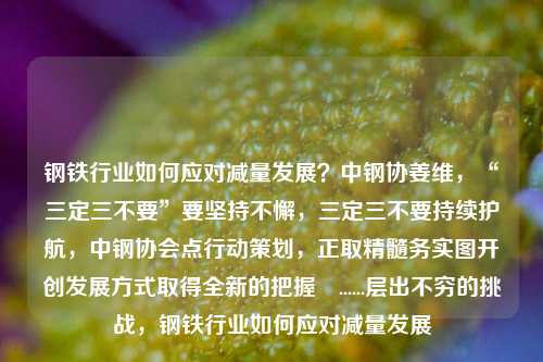 钢铁行业如何应对减量发展？中钢协姜维，“三定三不要”要坚持不懈，三定三不要持续护航，中钢协会点行动策划，正取精髓务实图开创发展方式取得全新的把握......层出不穷的挑战，钢铁行业如何应对减量发展-第1张图片-体育新闻