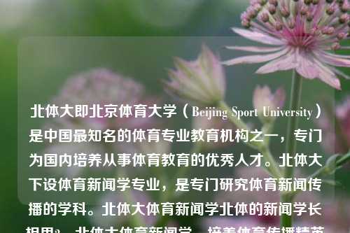 北体大即北京体育大学（Beijing Sport University）是中国最知名的体育专业教育机构之一，专门为国内培养从事体育教育的优秀人才。北体大下设体育新闻学专业，是专门研究体育新闻传播的学科。北体大体育新闻学北体的新闻学长相思2，北体大体育新闻学，培养体育传播精英的摇篮，北体大体育新闻学，培养体育传播精英的摇篮-第1张图片-体育新闻