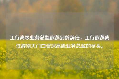 工行高级业务总监熊燕到龄辞任，工行熊燕离任辞别大门口资深高级业务总监的尽头。-第1张图片-体育新闻