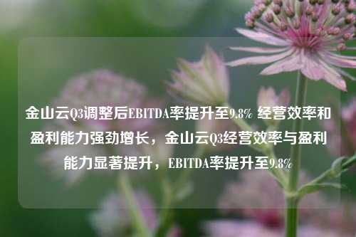 金山云Q3调整后EBITDA率提升至9.8% 经营效率和盈利能力强劲增长，金山云Q3经营效率与盈利能力显著提升，EBITDA率提升至9.8%-第1张图片-体育新闻