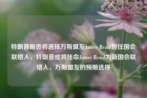 特朗普据悉将选择万斯盟友James Braid担任国会联络人，特朗普或将任命James Braid为新国会联络人，万斯盟友的预期选择-第1张图片-体育新闻